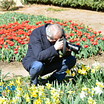 Парад тюльпанов и не только: в Никитском ботсаду распустились весенние цветы6